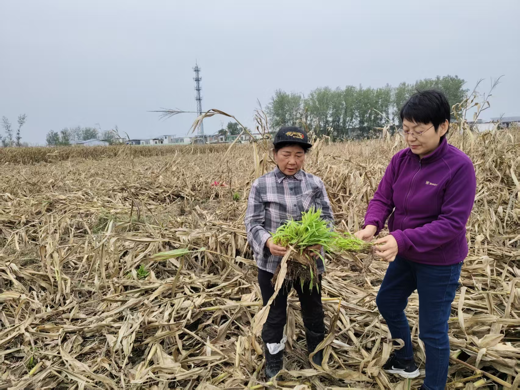 威尼斯人在线官网