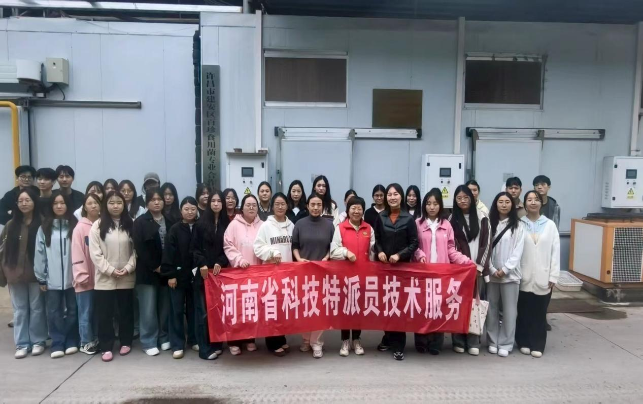 威尼斯人在线官网