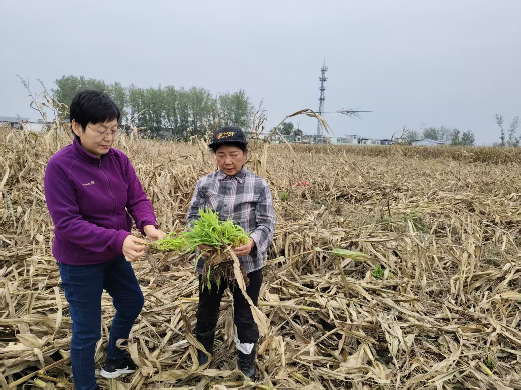 威尼斯人在线官网